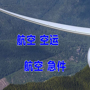 浪头航空快递快递-选东方航空和上海航空