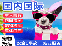 浪头航空快递国际宠物托运 【国